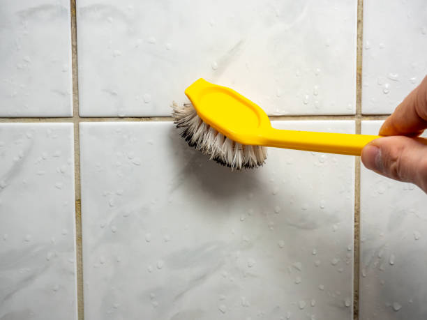 Best Preventive Mold Services in Naples, TX